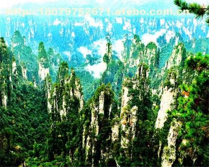 鳳超特價(jià)一高一臥五天游 贛州百事通國(guó)際旅行社精選行程
